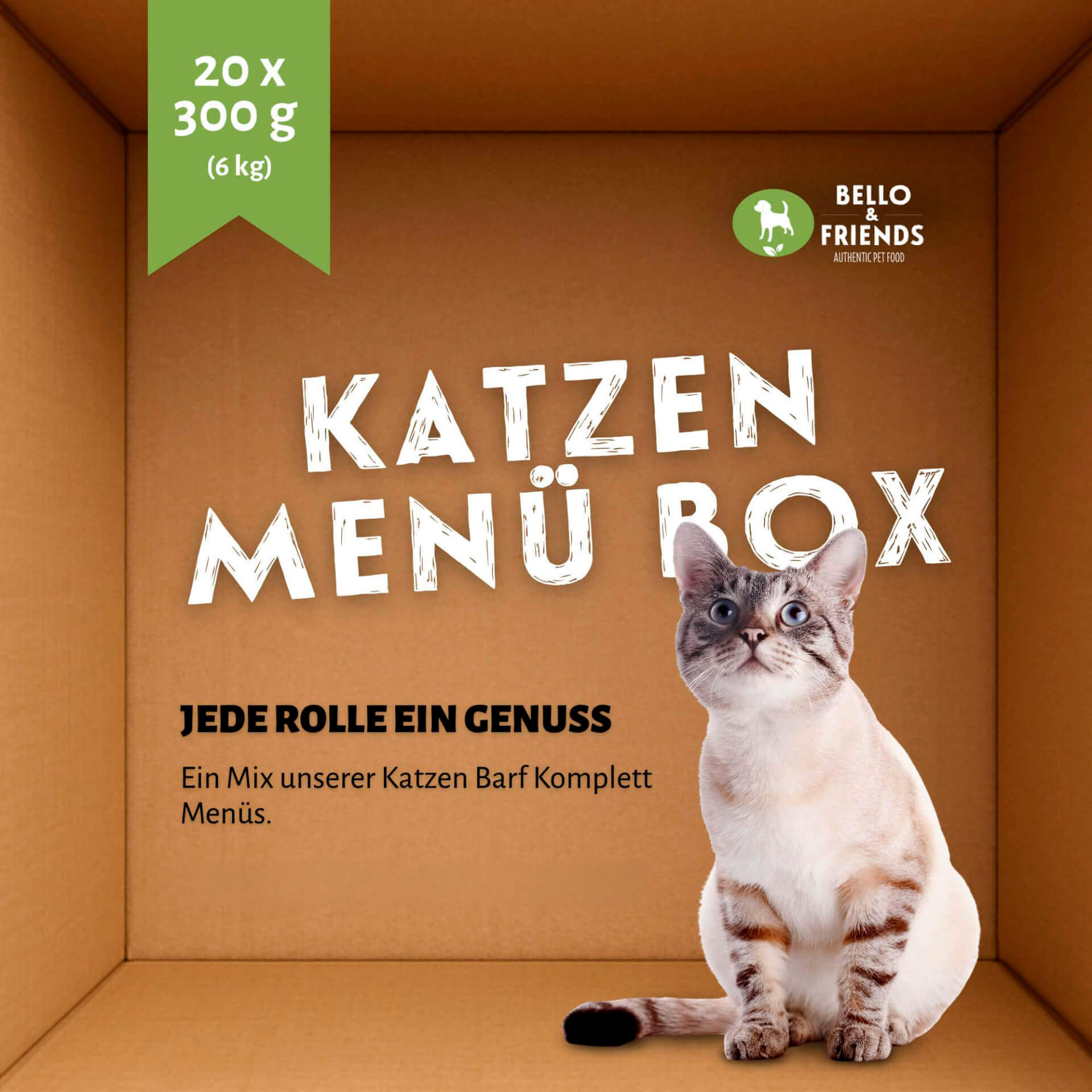 Entdecker Box Katzen Barf