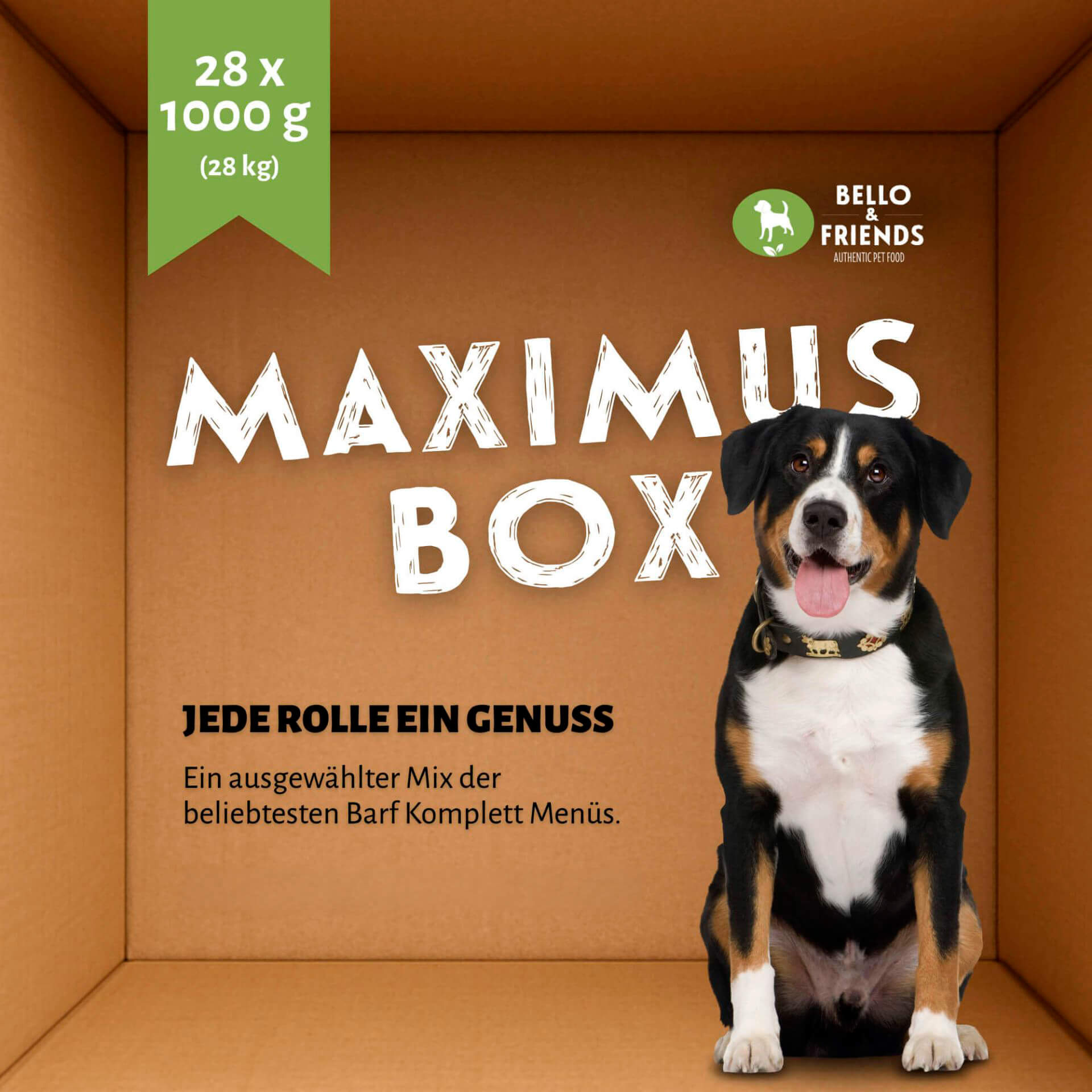 Maximusbox | Komplett Menü