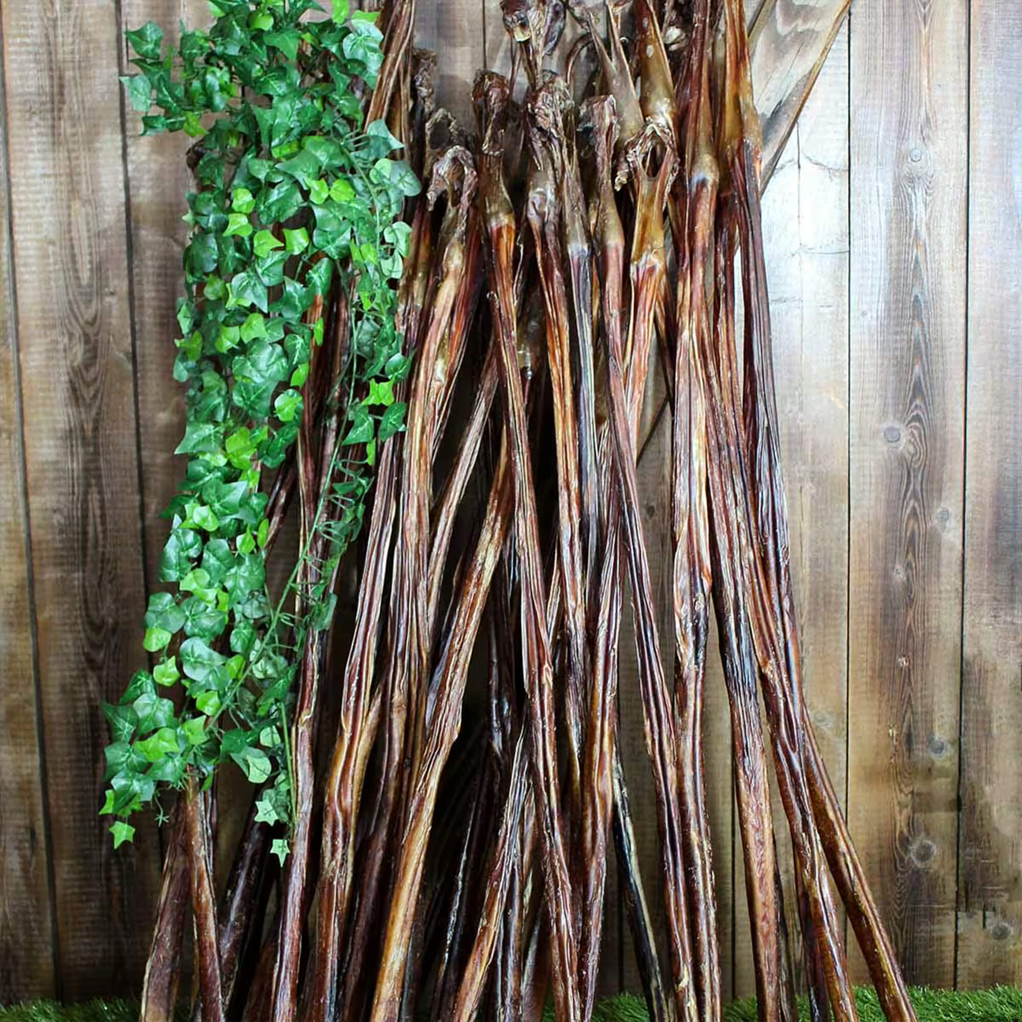 Ochsenziemer XL 90cm