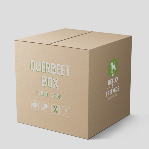 QUERBEET BOX S (ohne Fisch)