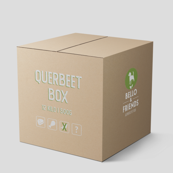 QUERBEET BOX M (ohne Fisch)